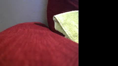 partofme83 online show from 7, 11, 2025