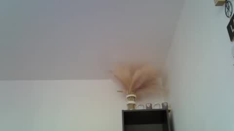 Snapshot of patrick5275 chatting on 16, 12, 2024 patrick5275 online show from 16, 12, 2024