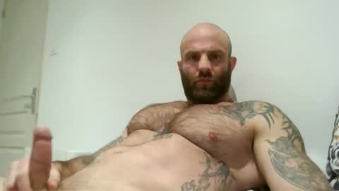 yo5064 online show from 19, 3, 2026