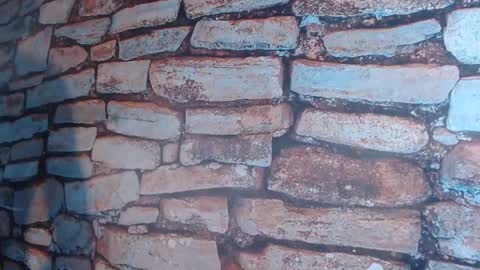 patrick_rouse online show from 3, 1, 2025