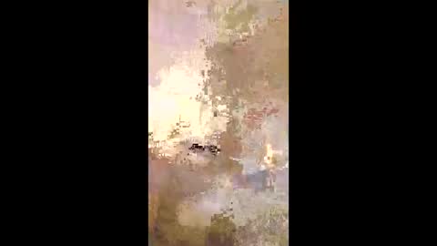 Snapshot of patrickalan2 chatting on 14, 12, 2025 patrickalan2 online show from 14, 12, 2025