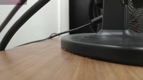 PAUL online show from 19, 11, 2025