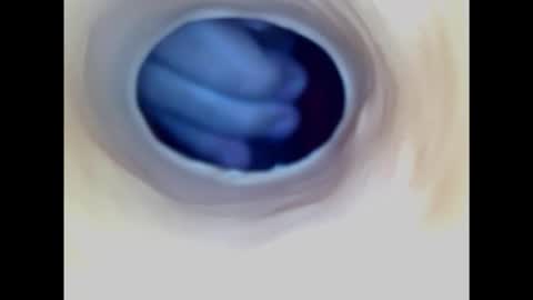 Snapshot of paulainoscente chatting on 1, 2, 2025 Paula 18 Aninhos online show from 1, 2, 2025