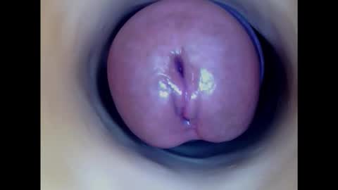 Snapshot of paulainoscente chatting on 3, 2, 2025 Paula 18 Aninhos online show from 3, 2, 2025