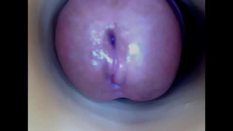 Snapshot of paulainoscente chatting on 3, 2, 2025 Paula 18 Aninhos online show from 3, 2, 2025