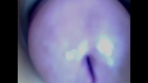 Snapshot of paulainoscente chatting on 19, 2, 2025 Paula 18 Aninhos online show from 19, 2, 2025