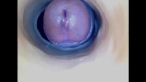 Snapshot of paulainoscente chatting on 20, 2, 2025 Paula 18 Aninhos online show from 20, 2, 2025