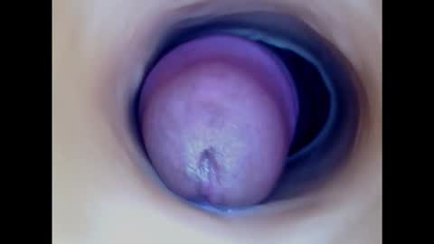 Snapshot of paulainoscente chatting on 11, 3, 2025 Paula 18 Aninhos online show from 11, 3, 2025