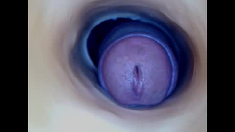 Snapshot of paulainoscente chatting on 16, 10, 2025 Paula 18 Aninhos online show from 16, 10, 2025