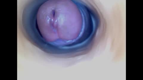 Snapshot of paulainoscente chatting on 26, 10, 2025 Paula 18 Aninhos online show from 26, 10, 2025