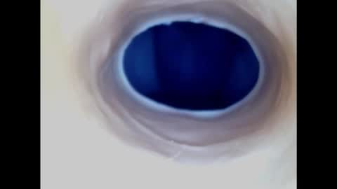 Snapshot of paulainoscente chatting on 17, 11, 2025 Paula 18 Aninhos online show from 17, 11, 2025