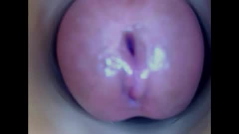 Paula 18 Aninhos online show from 15, 1, 2026