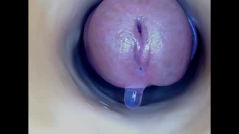 Paula 18 Aninhos online show from 2, 3, 2026