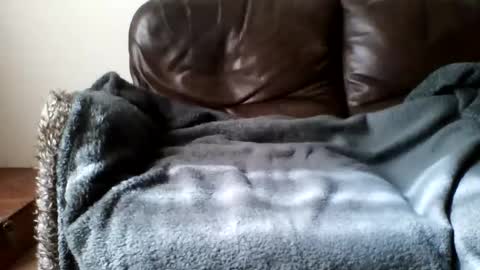 paurlien online show from 21, 3, 2026