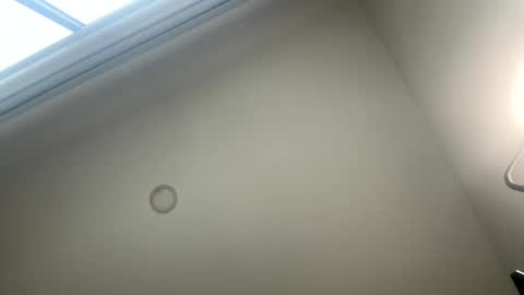 Snapshot of pavlovacoluccii_ chatting on 6, 3, 2026 Suscribe to onlyfans online show from 6, 3, 2026