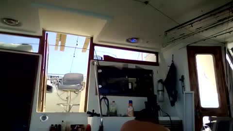 Pavone splash online show from 10, 1, 2026