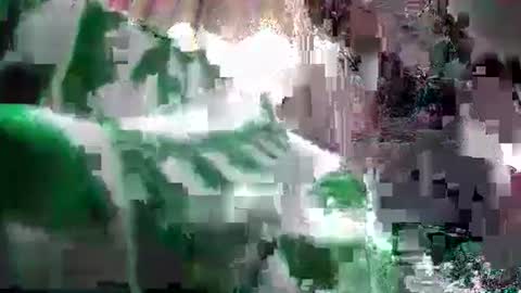 Coco channel  online show from 24, 12, 2024