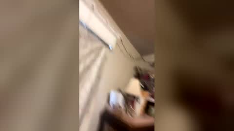 paytenspanties online show from 24, 3, 2026