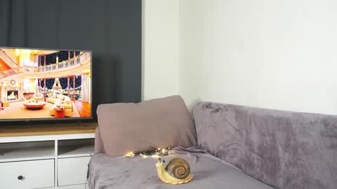 Violetta online show from 29, 12, 2024