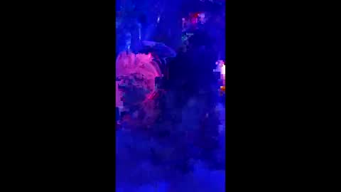 penrodscott7 online show from 18, 3, 2026