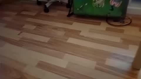 Snapshot of pepe_hard chatting on 2, 3, 2026 pepe_hard online show from 2, 3, 2026