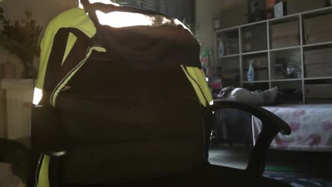 peregrintpelfox online show from 16, 12, 2025