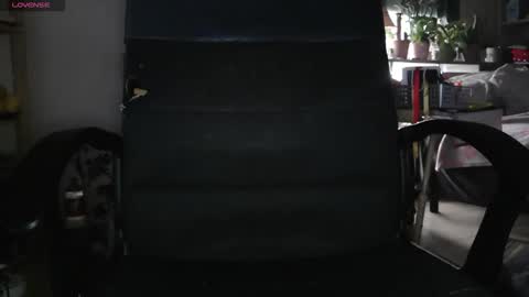 peregrintpelfox online show from 4, 2, 2026