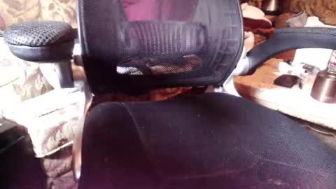 perfecto337 online show from 14, 2, 2026