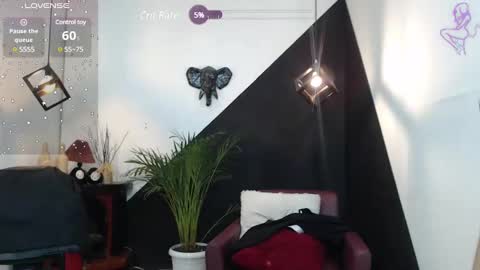   online show from 31, 1, 2025