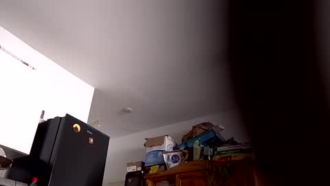 perseponi online show from 23, 11, 2025