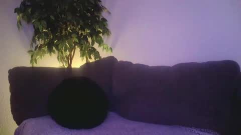 petite treat  online show from 19, 12, 2024