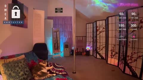 Jules online show from 27, 12, 2024