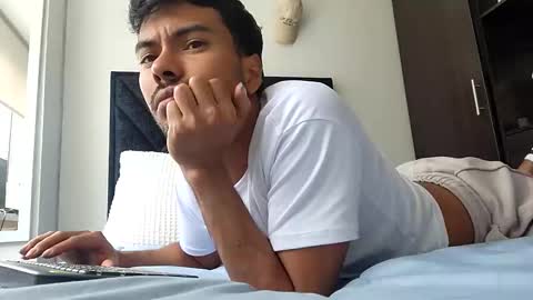 pettercatt online show from 8, 9, 2025