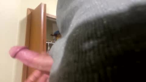 pewpewdood online show from 6, 2, 2026