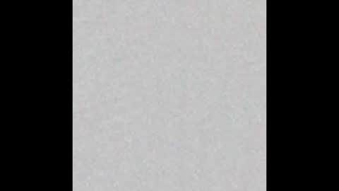 peytonn_monroe online show from 9, 3, 2026