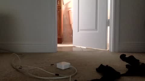 Its always better when its forbidden online show from 1, 4, 2026