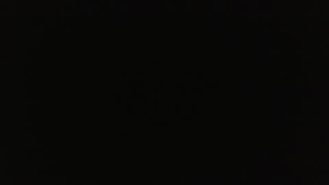 Pickles  Kitten online show from 28, 2, 2025