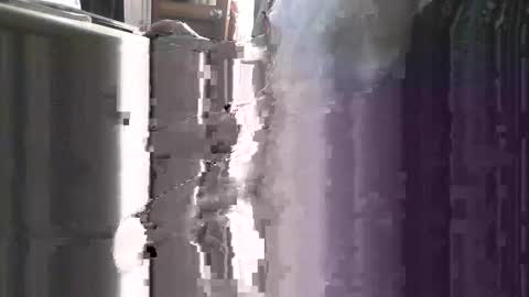 pickle996 online show from 31, 10, 2025