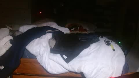 Snapshot of picklerick650 chatting on 2, 11, 2025 picklerick650 online show from 2, 11, 2025