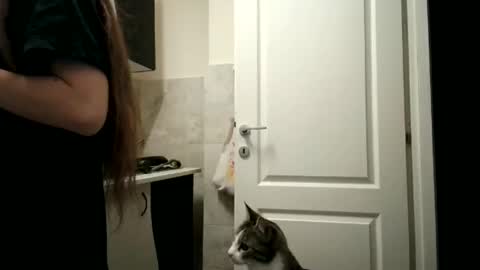 Snapshot of pieceofmoon chatting on 15, 12, 2025 Moonie online show from 15, 12, 2025