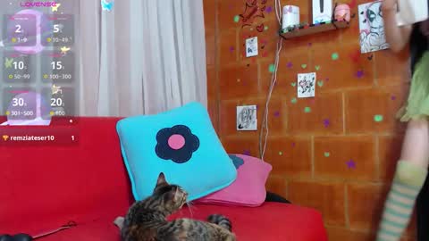 Sky online show from 4, 11, 2025