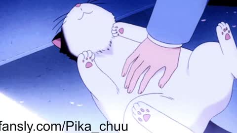 Sonya online show from 13, 12, 2024