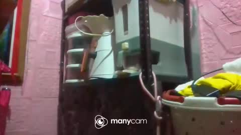 Snapshot of pinaythali08 chatting on 21, 11, 2025 PinayThali08 online show from 21, 11, 2025