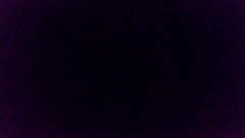 Pincoffin online show from 12, 11, 2025