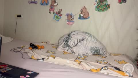 Snapshot of pink_pikachu_ chatting on 19, 2, 2026 Pikachu pika online show from 19, 2, 2026