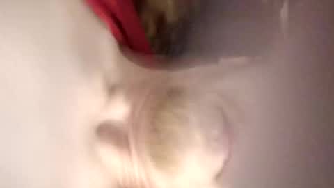 Snapshot of pinkytinky4 chatting on 17, 12, 2025 pinkytinky4 online show from 17, 12, 2025