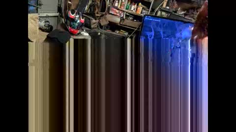 FuckUpayMe online show from 9, 2, 2026