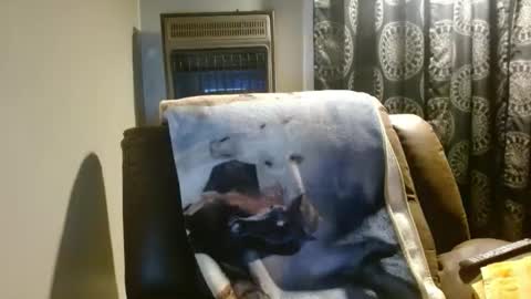 Snapshot of pirate334 chatting on 24, 3, 2026 pirate334 online show from 24, 3, 2026