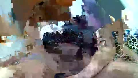 pislezg1 online show from 7, 2, 2025