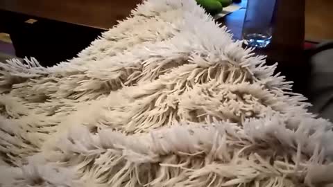 Antn online show from 9, 2, 2025